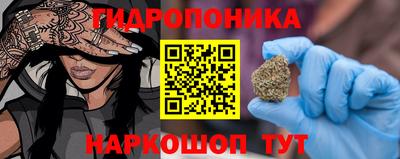 a pvp Братск