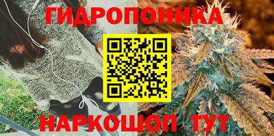 дживик Белореченск