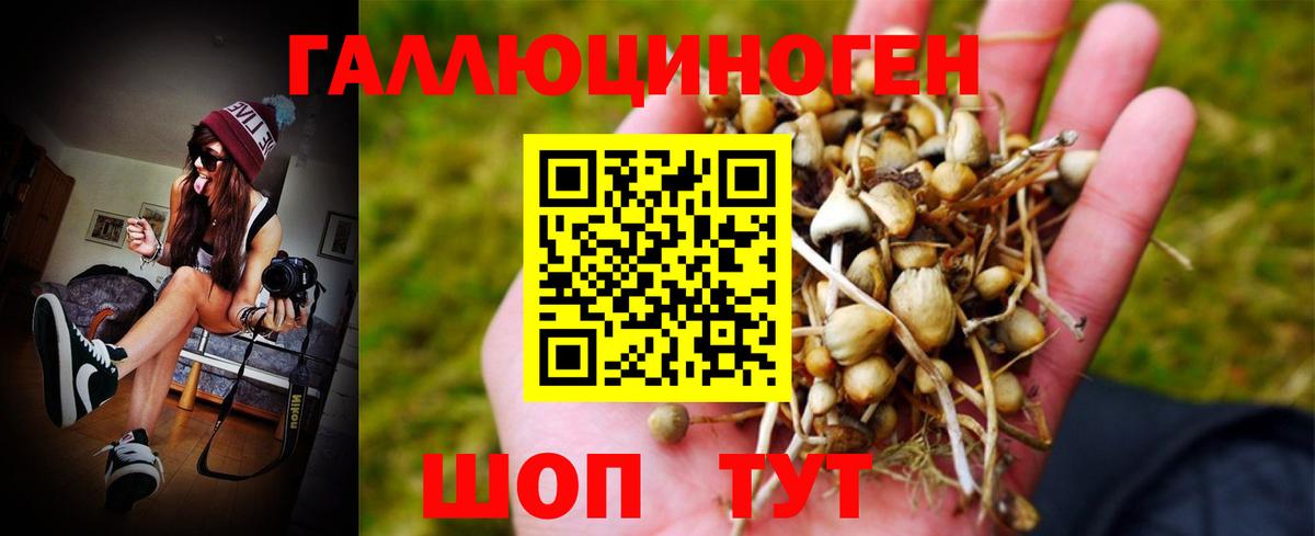 Галлюциногенные грибы Magic Shrooms Ахтубинск
