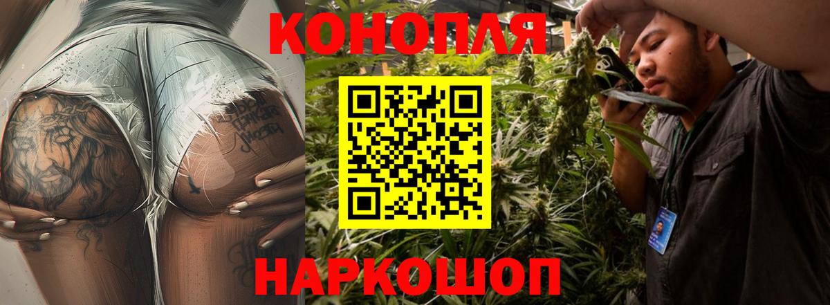 Бошки марихуана конопля Ахтубинск
